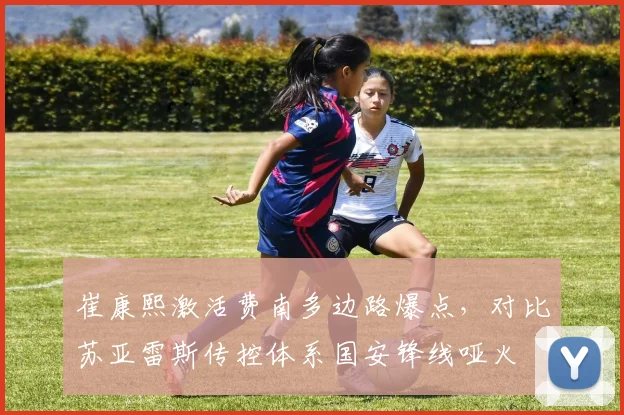 崔康熙激活费南多边路爆点，对比苏亚雷斯传控体系国安锋线哑火